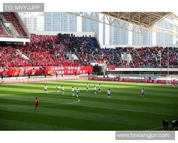 陕西大秦之水与黑龙江FC球票价格对比分析及购票建议 陕西大秦之水与黑龙江FC球票价格对比分析及购票建议